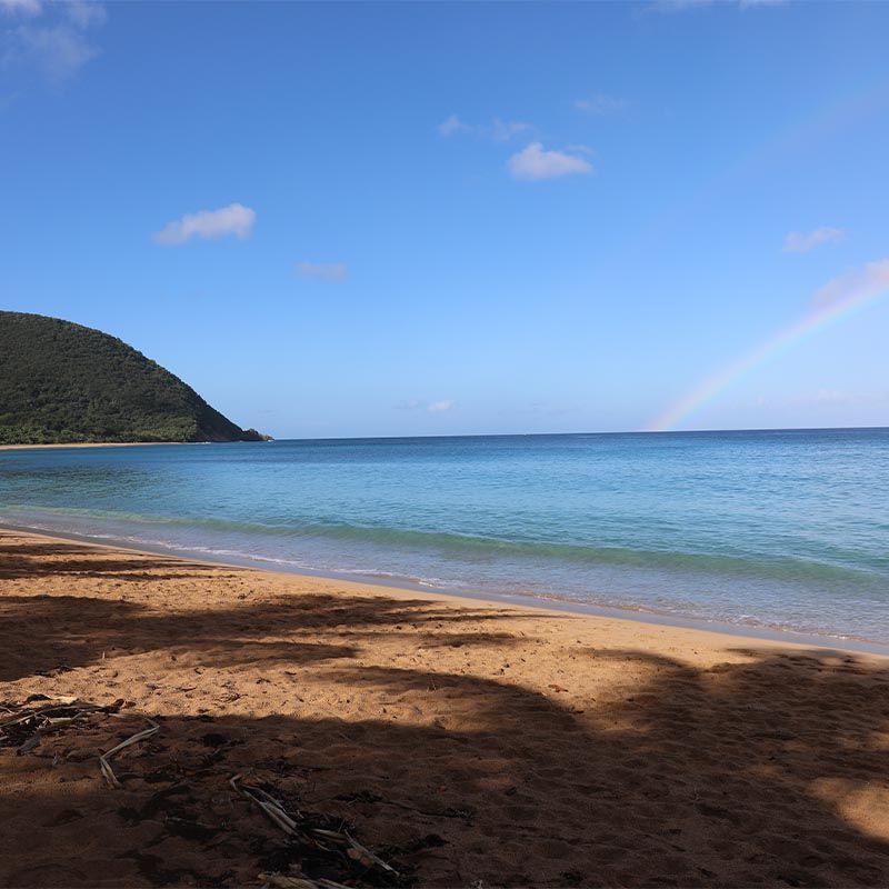 Deshaies-guadeloupe-plage-grande-anse-arcenciel Arc en ciel plage deshaies guadeloupe